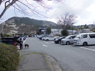R0011558.JPG