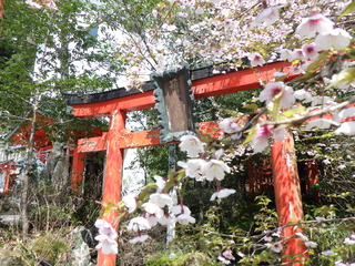 R0011571.JPG