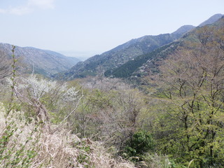 R0011586.JPG