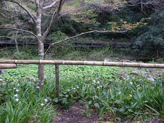 R0011602.JPG