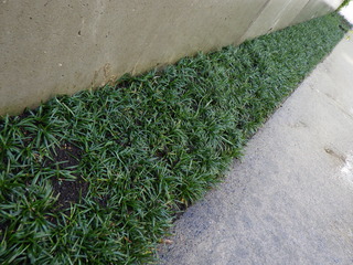 R0011625.JPG