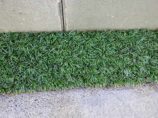 R0011627.JPG