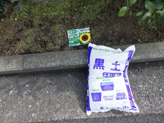R0011629.JPG