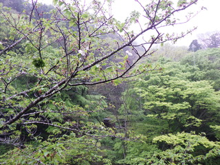 R0011991.JPG