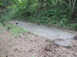 R0012042.JPG