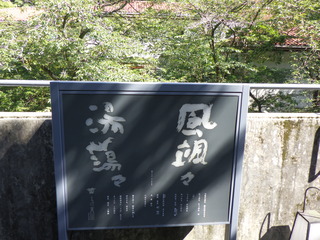 R0012863.JPG