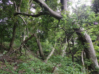 R0012975.JPG