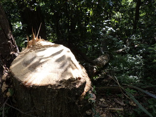 R0013109.JPG