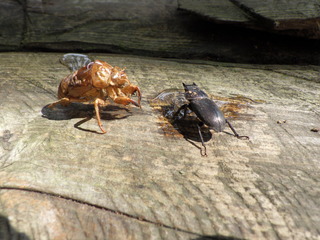 R0013356.JPG