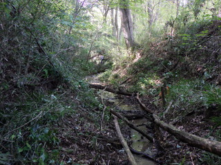 R0014186.JPG