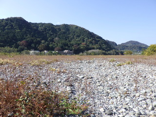 R0014434.JPG
