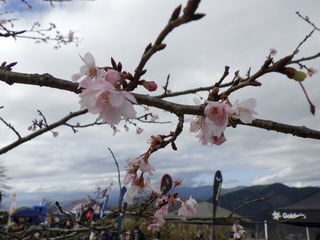 R0014836.JPG