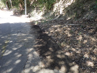 R0015440.JPG