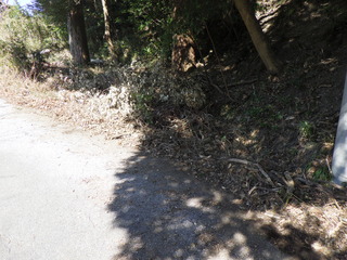 R0015442.JPG