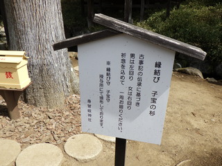 R0016402.JPG