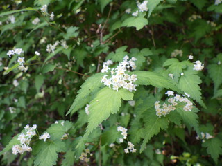 R0016771.JPG