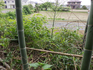 R0017021.JPG